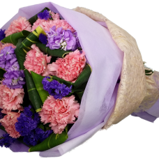 One Dozen Pink Color Carnations Bouquet in Round Shape