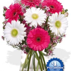 7 Gerbera Vase Bouquet