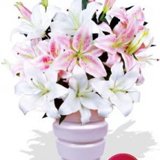 6 Lily Bouquet Vase Bouquet