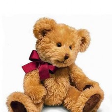Medium Teddy Bear , 8 inches 